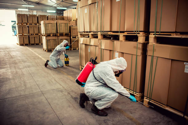 Best Best Pest Control Companies  in Belvedere, SC