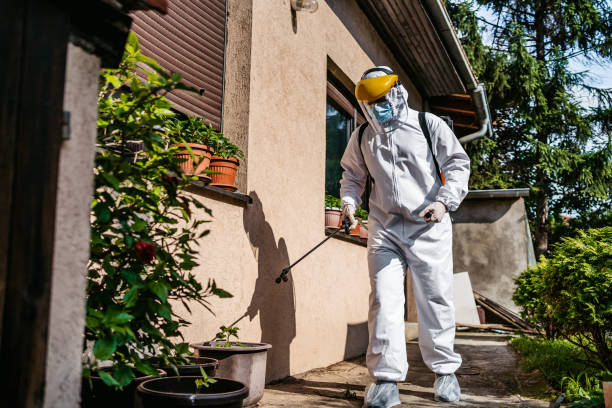 Best Affordable Pest Control Services  in Belvedere, SC
