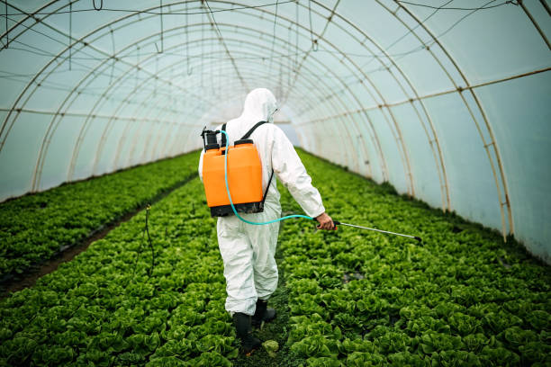 Best Pest Control Cost  in Belvedere, SC