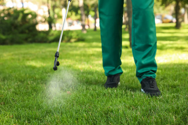 Best Exterminator Services  in Belvedere, SC