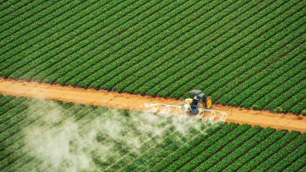 Best Affordable Exterminators  in Belvedere, SC