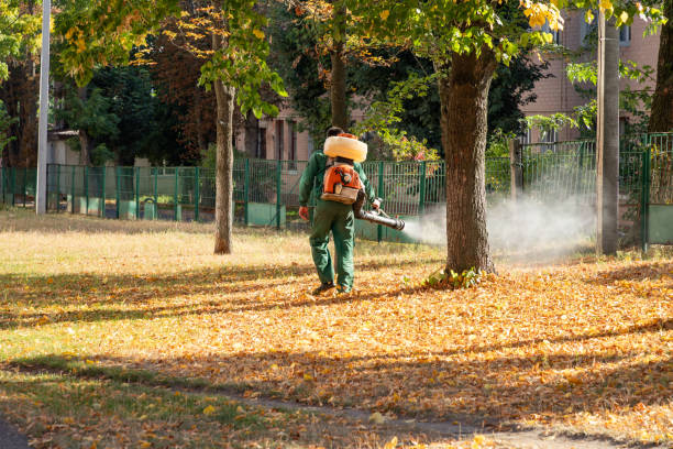 Best Local Pest Control Services  in Belvedere, SC