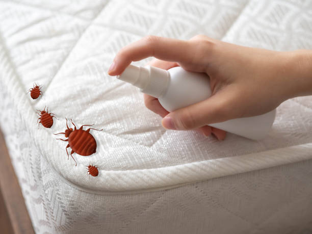 Best Pest Prevention Services  in Belvedere, SC