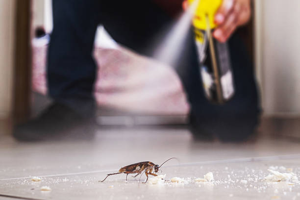 Best Pest Prevention Services  in Belvedere, SC